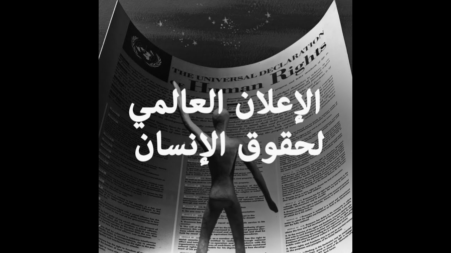 الأمم المتحدة تحتفي بيوم حقوق الإنسان 2025: كرامة الإنسان في قلب الحياة اليومية